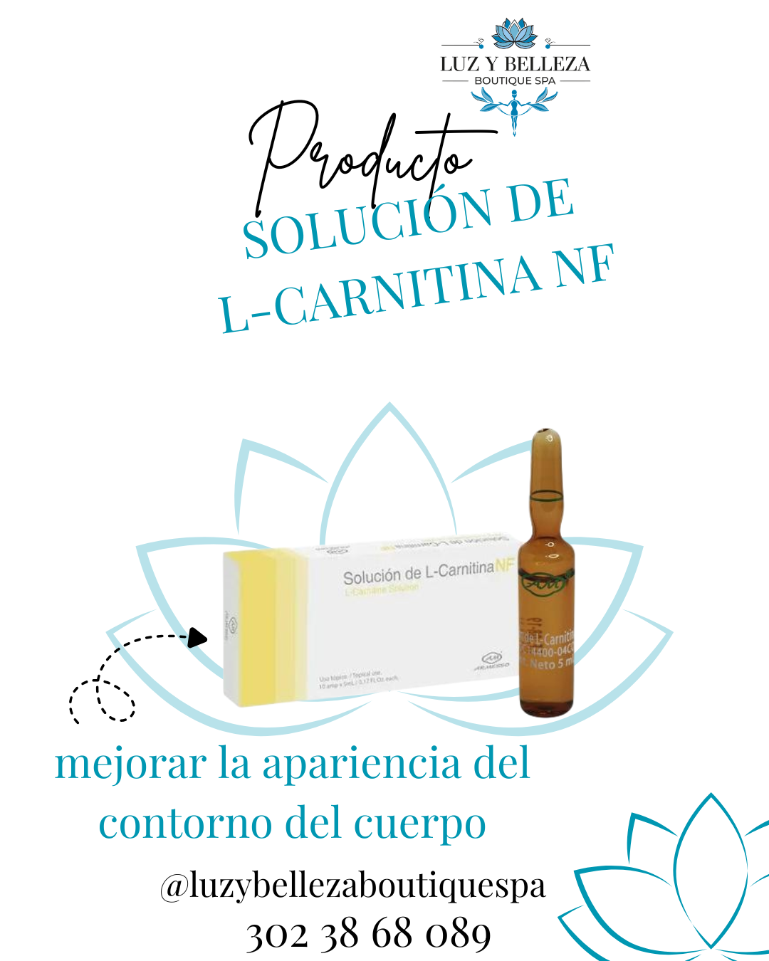 SOLUCIÓN DE L-CARNITINA NF CAJA 10 AMPOLLA 5ML Armesso