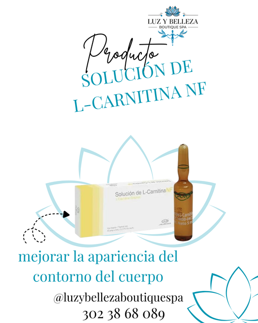 SOLUCIÓN DE L-CARNITINA NF CAJA 10 AMPOLLA 5ML Armesso
