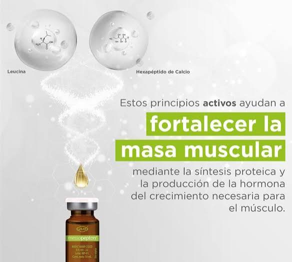 MESSOPEPTON CAJA 5 VIAL 10ML Armesso