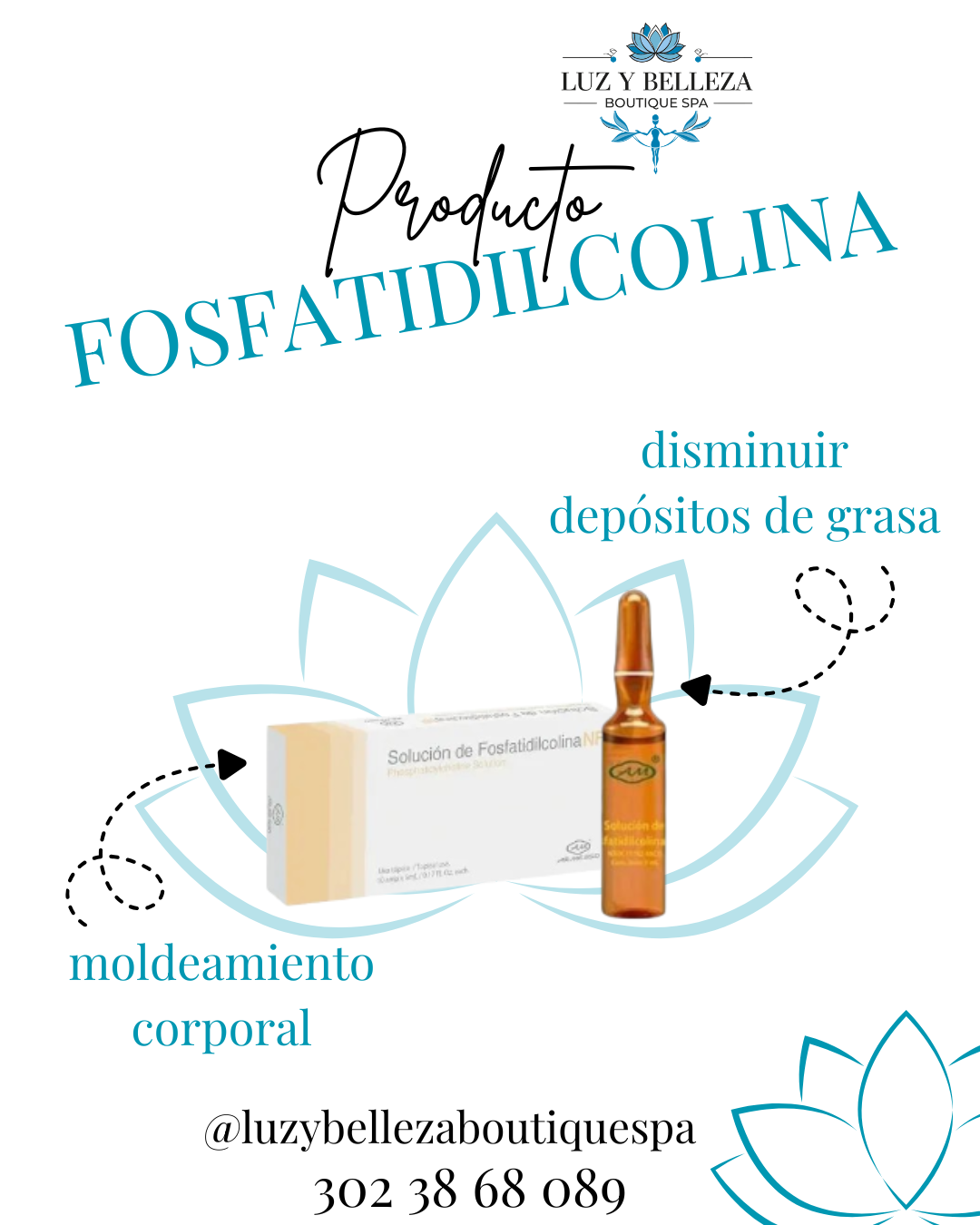 SOLUCIÓN DE FOSFATIDILCOLINA CAJA 10 AMPOLLAS 5ML Armesso