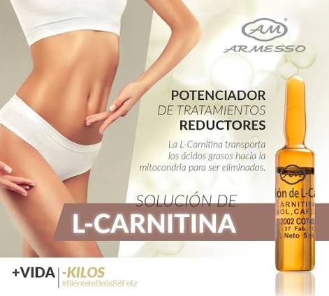 SOLUCIÓN DE L-CARNITINA NF CAJA 10 AMPOLLA 5ML Armesso