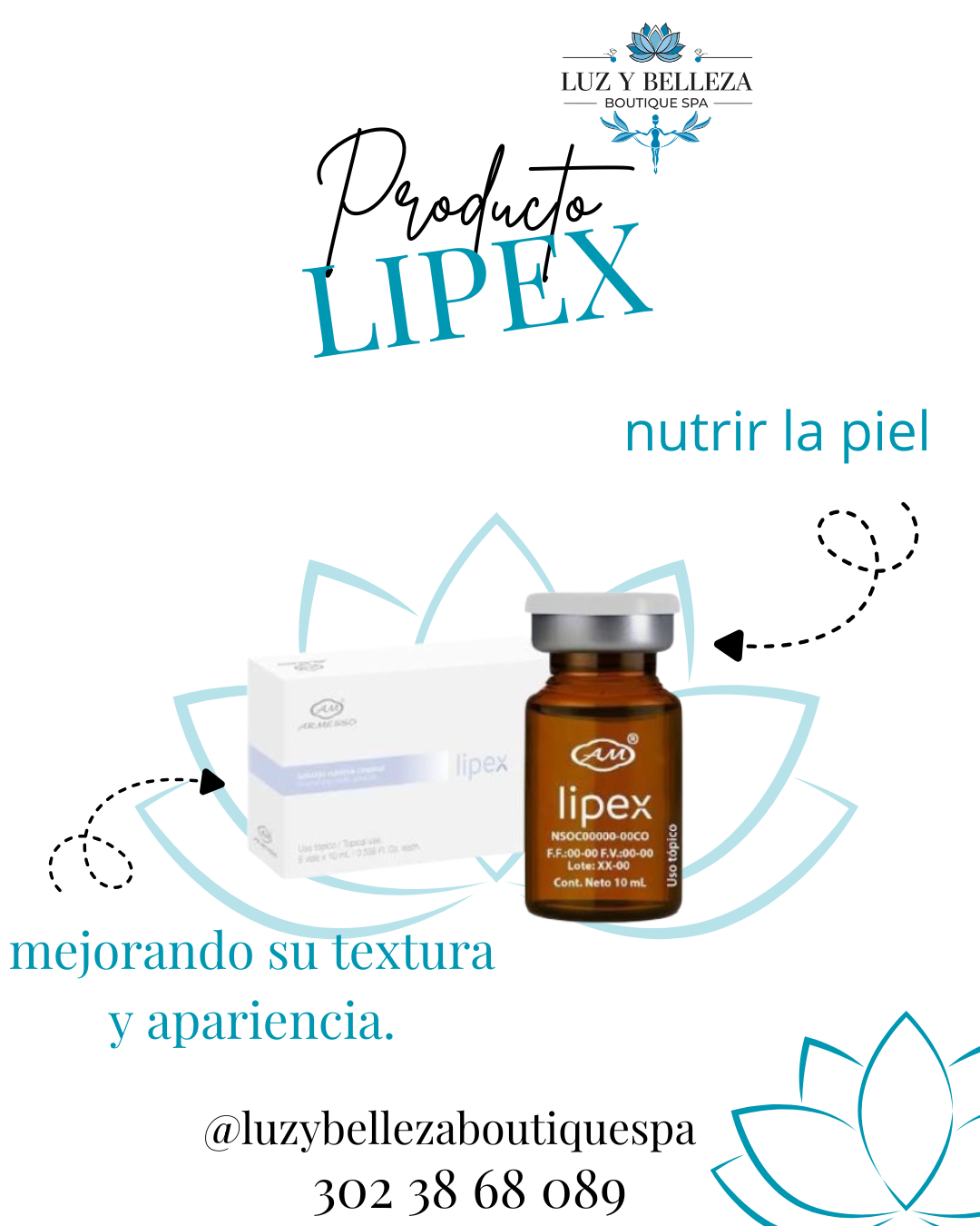LIPEX CAJA 5 VIAL 10ML Armesso