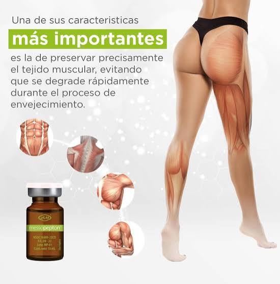MESSOPEPTON CAJA 5 VIAL 10ML Armesso