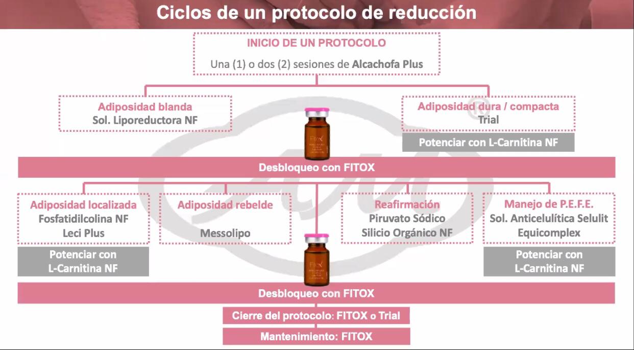 FITOX VIAL 10ML Armesso
