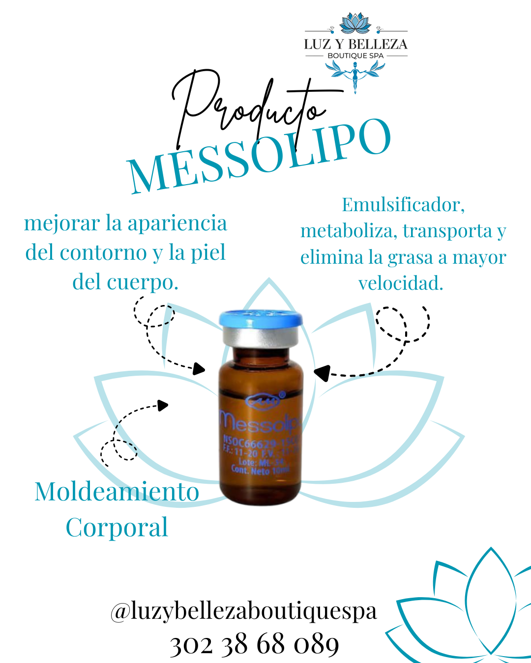 MESSOLIPO CAJA 5 VIAL 10ML Armesso