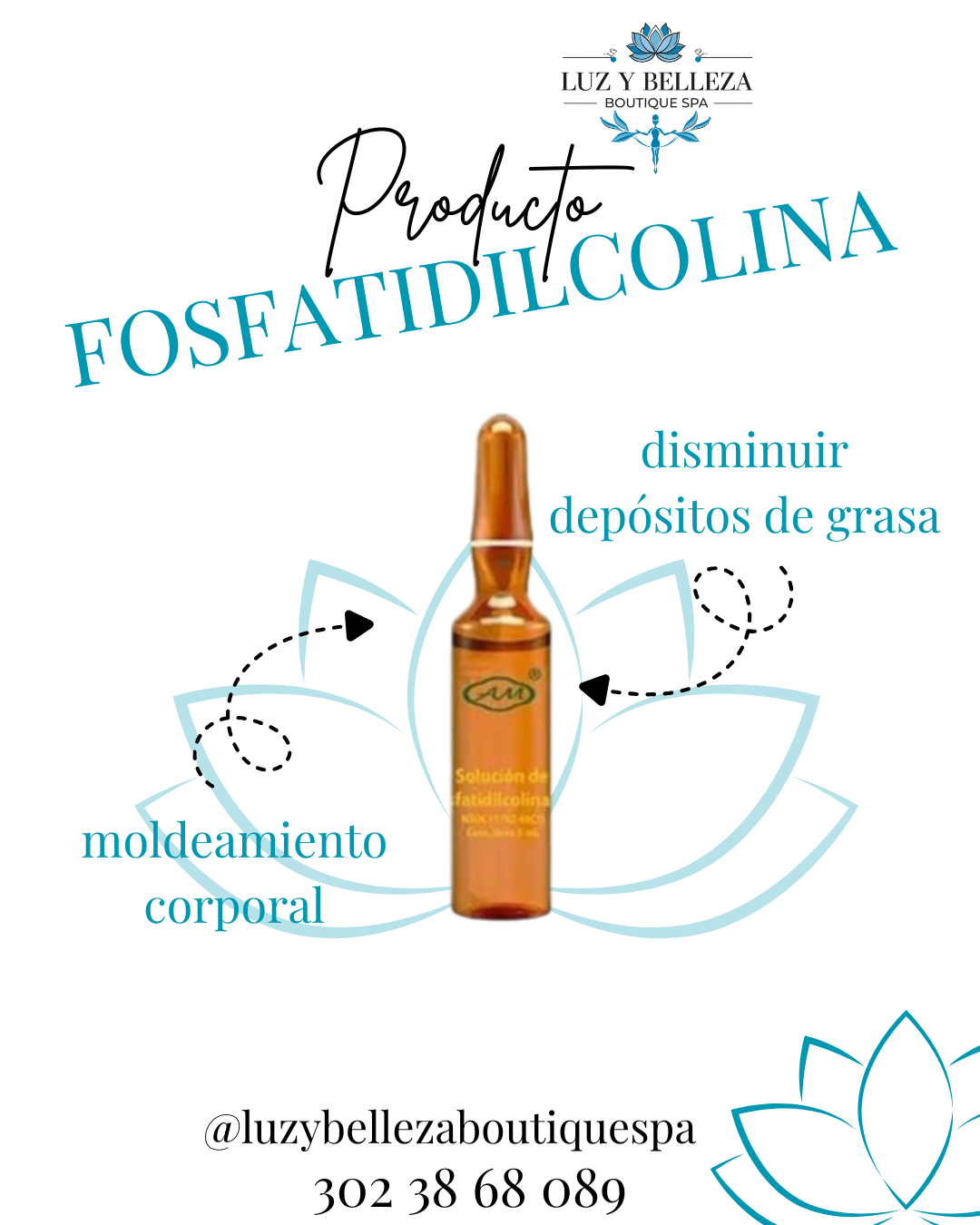 SOLUCIÓN DE FOSFATIDILCOLINA CAJA 10 AMPOLLAS 5ML Armesso