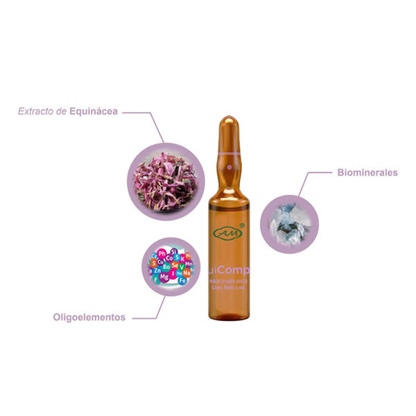 EQUICOMPLEX CAJA DE 10 AMPOLLA DE 2ML Armesso