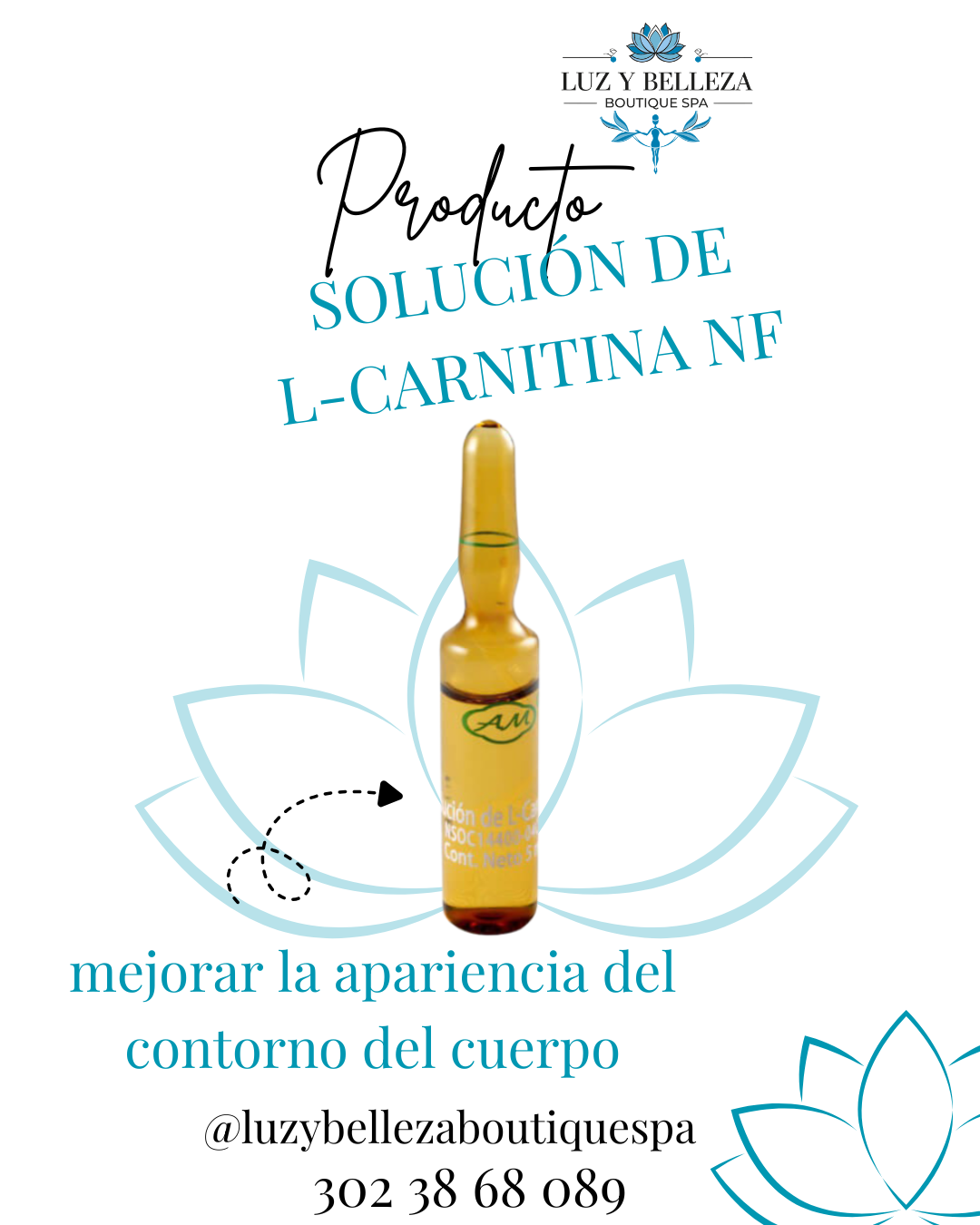 SOLUCIÓN DE L-CARNITINA NF CAJA 10 AMPOLLA 5ML Armesso